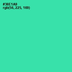 #38E1A9 - Shamrock Color Image