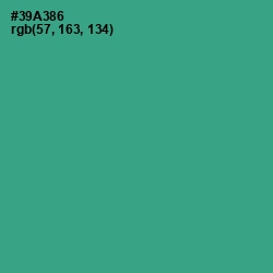 #39A386 - Jungle Green Color Image
