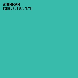 #39BBAB - Pelorous Color Image