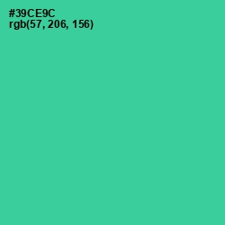 #39CE9C - Shamrock Color Image