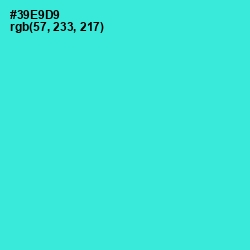 #39E9D9 - Turquoise Color Image