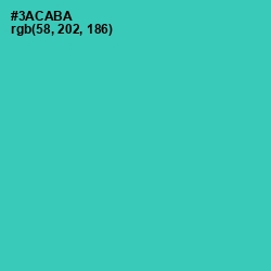 #3ACABA - Puerto Rico Color Image