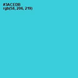 #3ACEDB - Turquoise Color Image