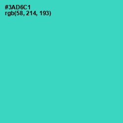 #3AD6C1 - Turquoise Color Image