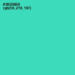 #3BDBBB - Puerto Rico Color Image