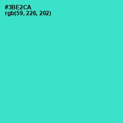 #3BE2CA - Turquoise Color Image