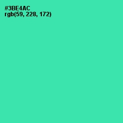 #3BE4AC - Shamrock Color Image