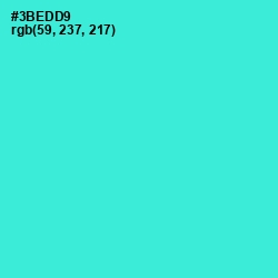 #3BEDD9 - Turquoise Color Image