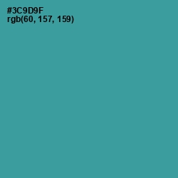 #3C9D9F - Lochinvar Color Image