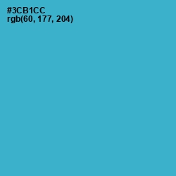 #3CB1CC - Scooter Color Image