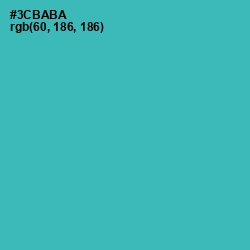 #3CBABA - Pelorous Color Image