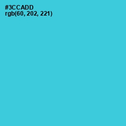 #3CCADD - Turquoise Color Image