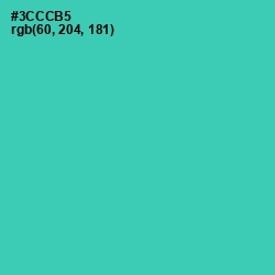 #3CCCB5 - Puerto Rico Color Image