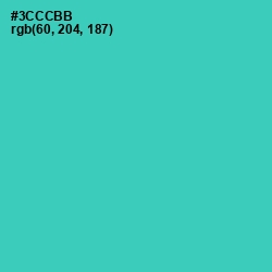 #3CCCBB - Puerto Rico Color Image