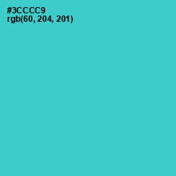 #3CCCC9 - Turquoise Color Image