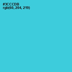 #3CCCDB - Turquoise Color Image