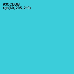 #3CCDDB - Turquoise Color Image