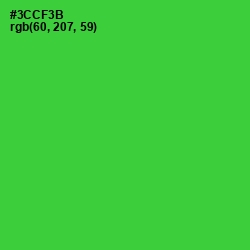 #3CCF3B - Harlequin Color Image