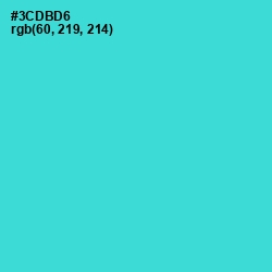 #3CDBD6 - Turquoise Color Image