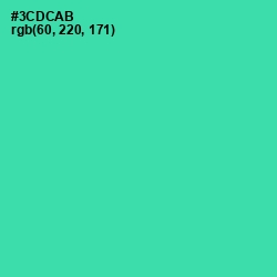 #3CDCAB - Puerto Rico Color Image