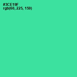 #3CE19F - Shamrock Color Image