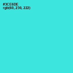 #3CE6DE - Turquoise Color Image