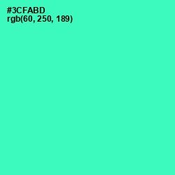 #3CFABD - Shamrock Color Image