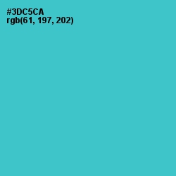 #3DC5CA - Turquoise Color Image