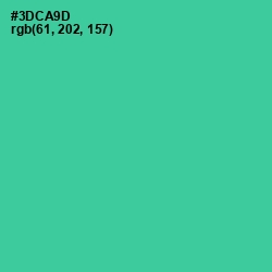 #3DCA9D - Shamrock Color Image
