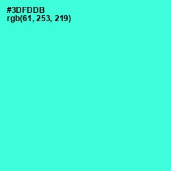 #3DFDDB - Turquoise Color Image