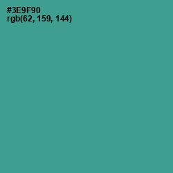 #3E9F90 - Lochinvar Color Image