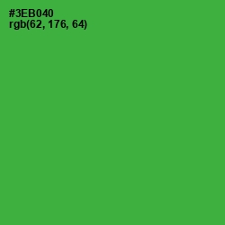 #3EB040 - Sea Green Color Image