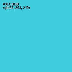 #3ECBDB - Turquoise Color Image