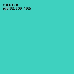 #3ED1C0 - Turquoise Color Image