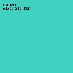 #3FD2C0 - Turquoise Color Image