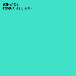 #3FE1C8 - Turquoise Color Image