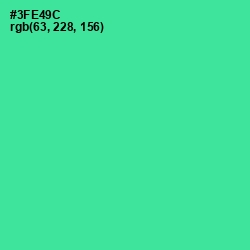 #3FE49C - Shamrock Color Image