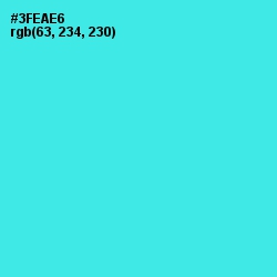 #3FEAE6 - Turquoise Color Image