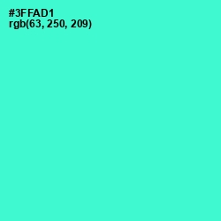 #3FFAD1 - Turquoise Color Image