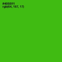 #40BB11 - Christi Color Image