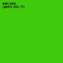 #40CA0B - Bright Green Color Image