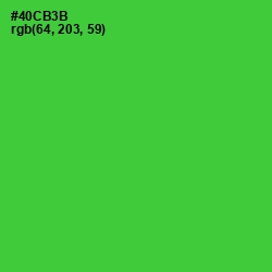 #40CB3B - Bright Green Color Image