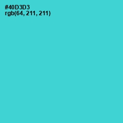 #40D3D3 - Viking Color Image