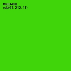 #40D40B - Bright Green Color Image