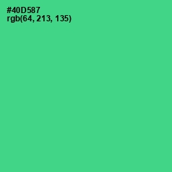 #40D587 - De York Color Image