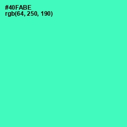 #40FABE - De York Color Image