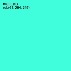 #40FEDB - Turquoise Blue Color Image