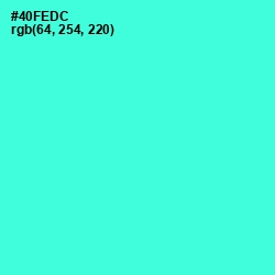 #40FEDC - Turquoise Blue Color Image