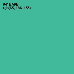 #41BA9B - Breaker Bay Color Image