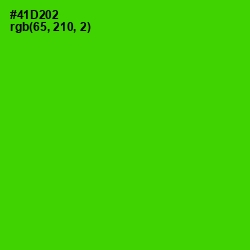 #41D202 - Bright Green Color Image